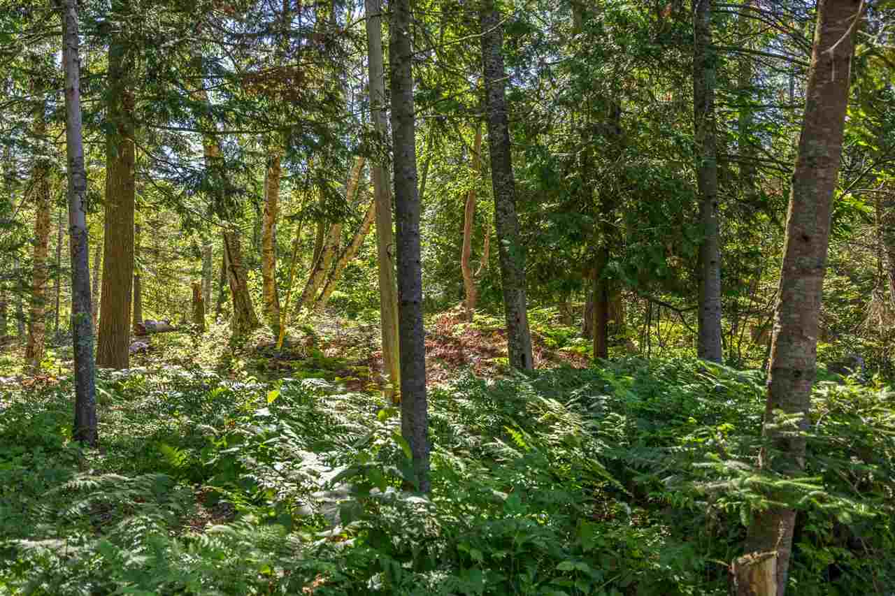 12411 Meanderline Road