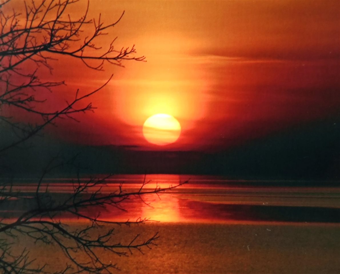 12411 Meanderline Road