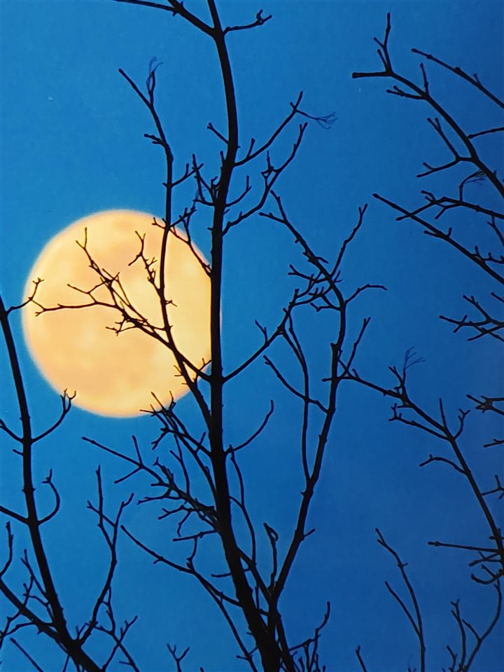 12411 Meanderline Road