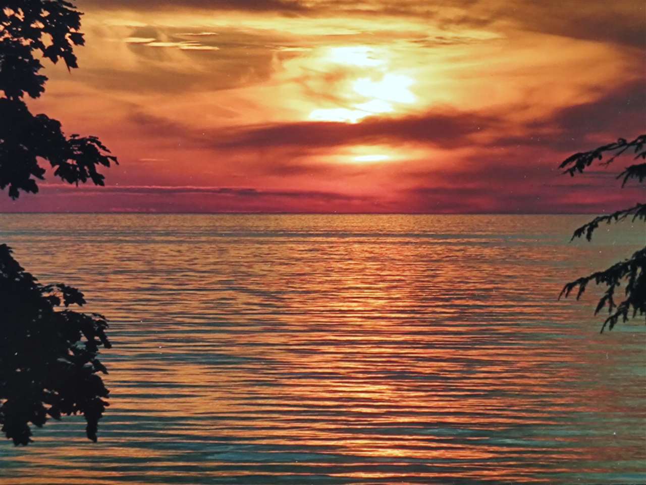 12411 Meanderline Road