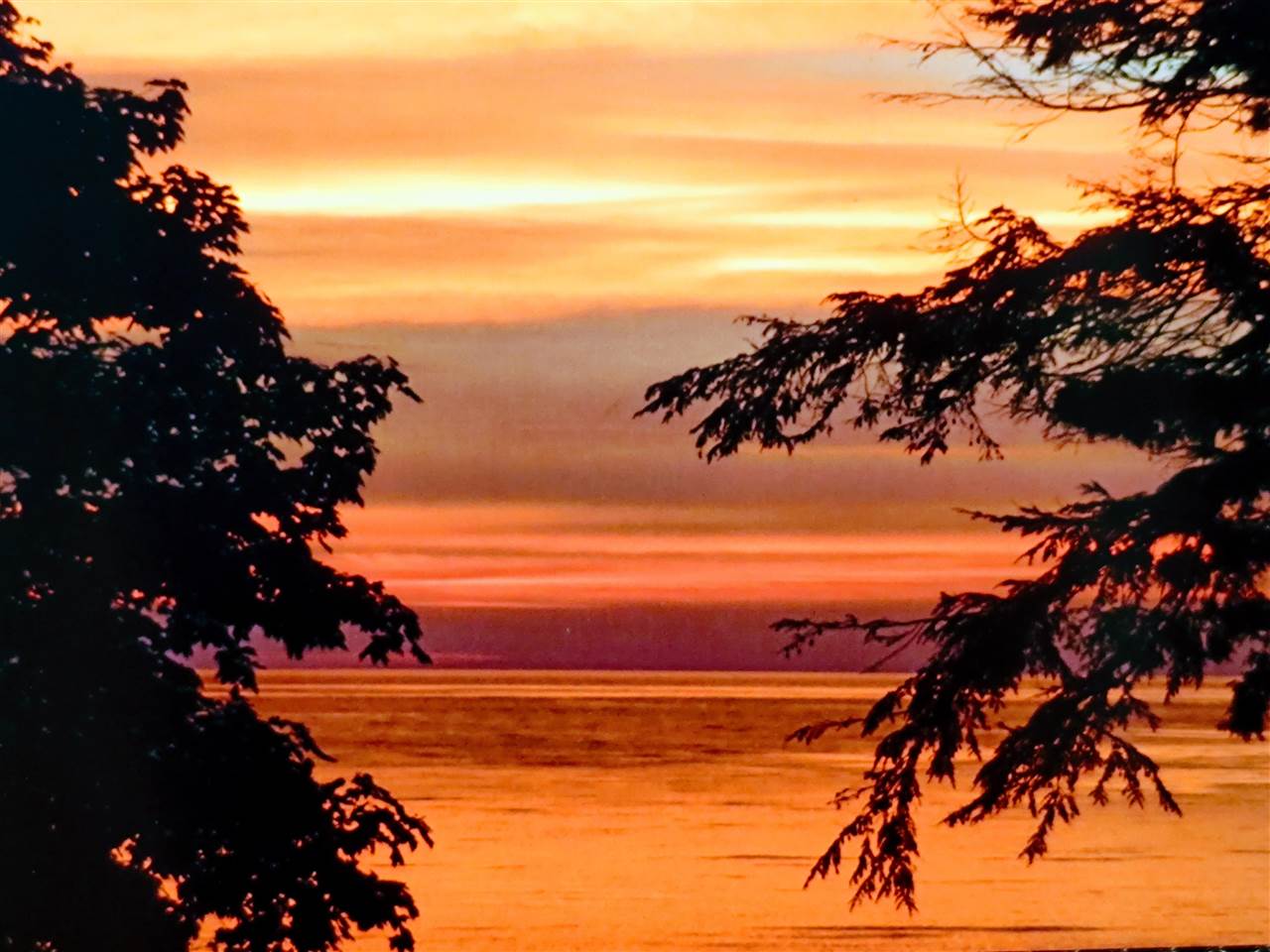 12411 Meanderline Road