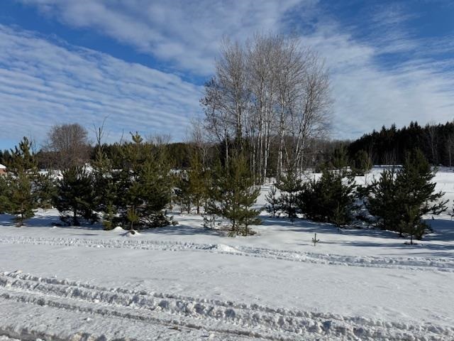 TBD S US 131