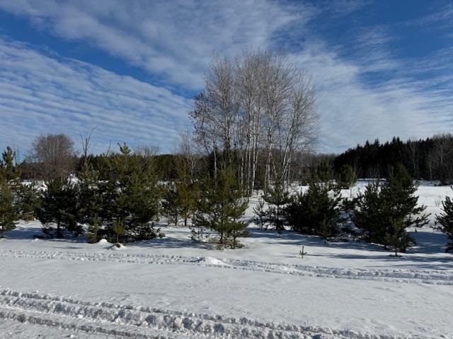 TBD S US 131