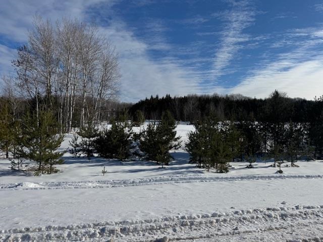TBD S US 131