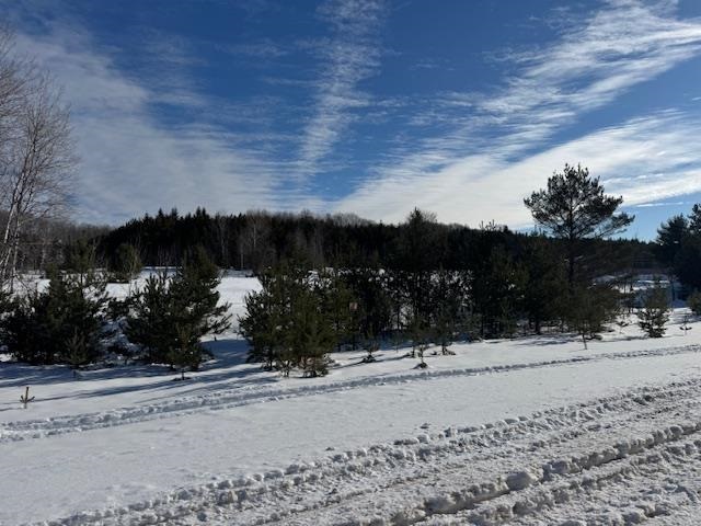 TBD S US 131