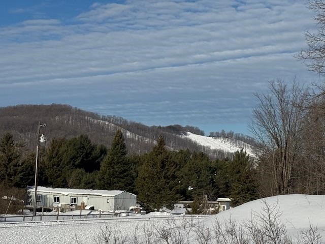 TBD S US 131