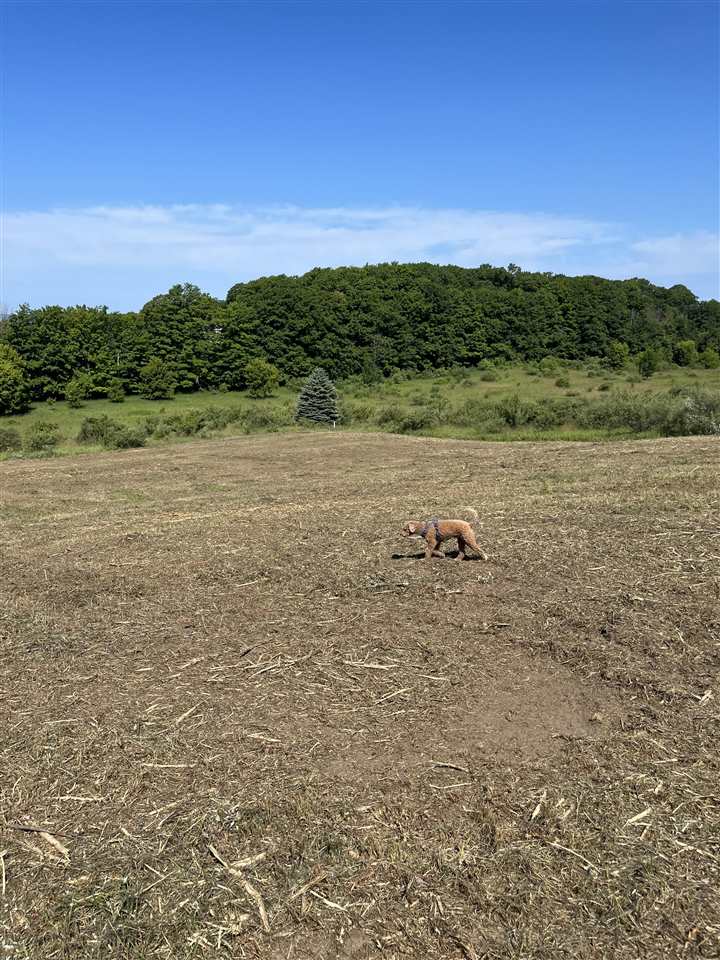 8 Foxview Drive Unit: 8