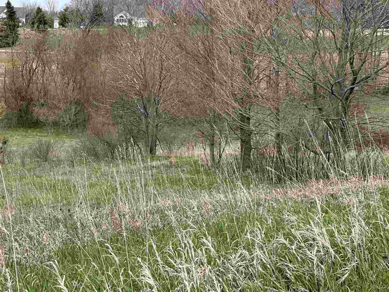 8 Foxview Drive Unit: 8