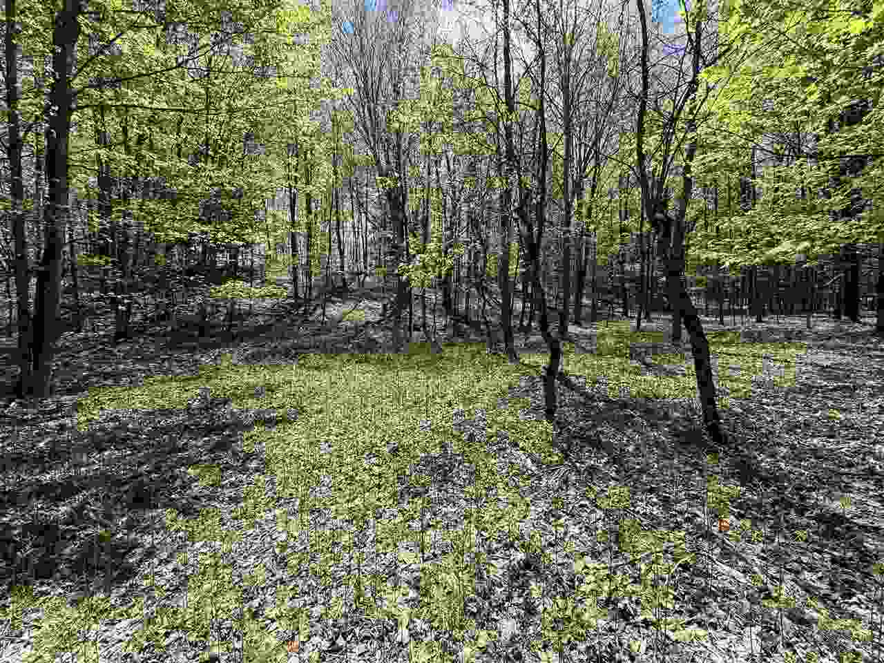 0 Coulter Creet Trail