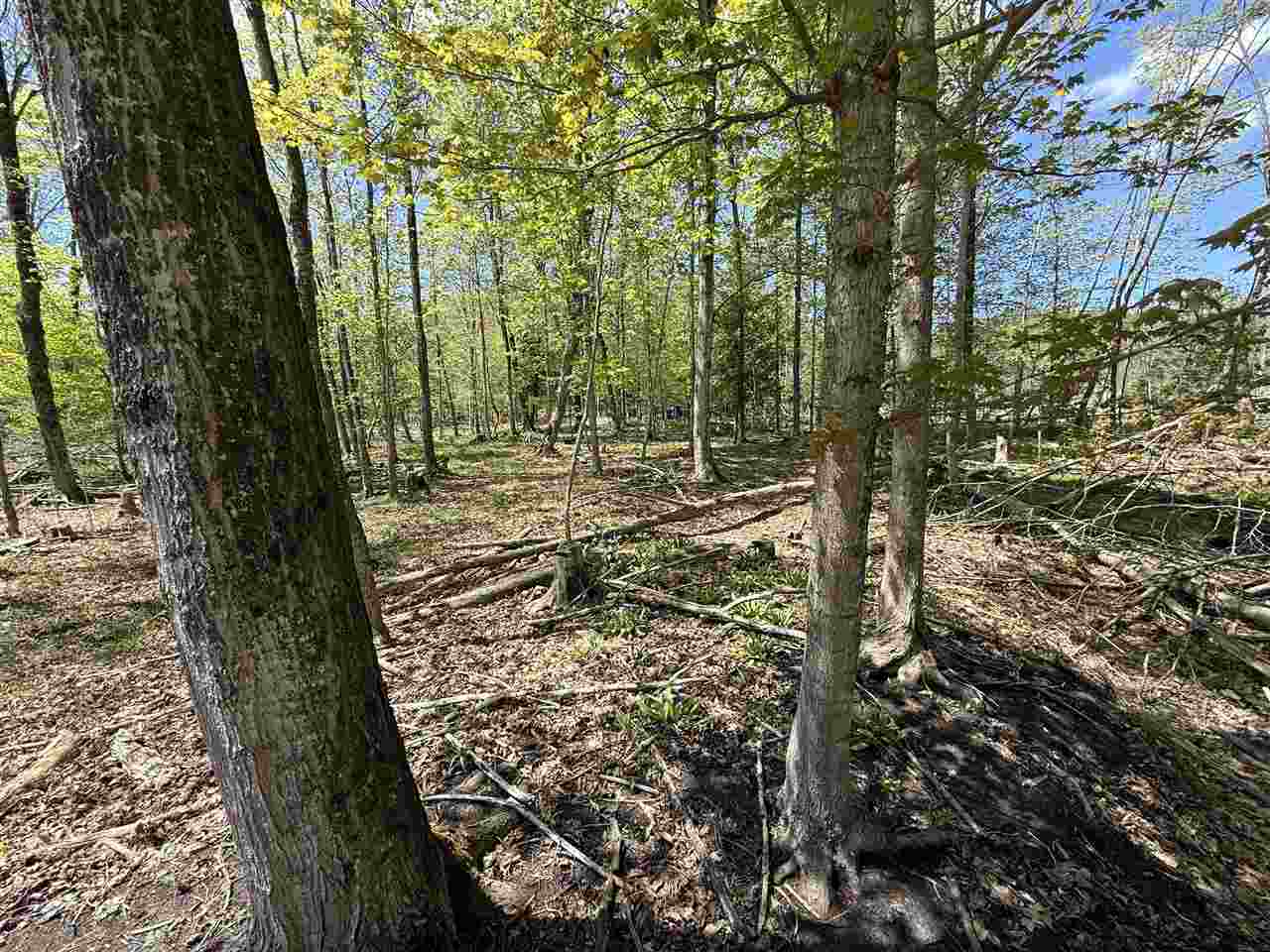 0 Coulter Creet Trail