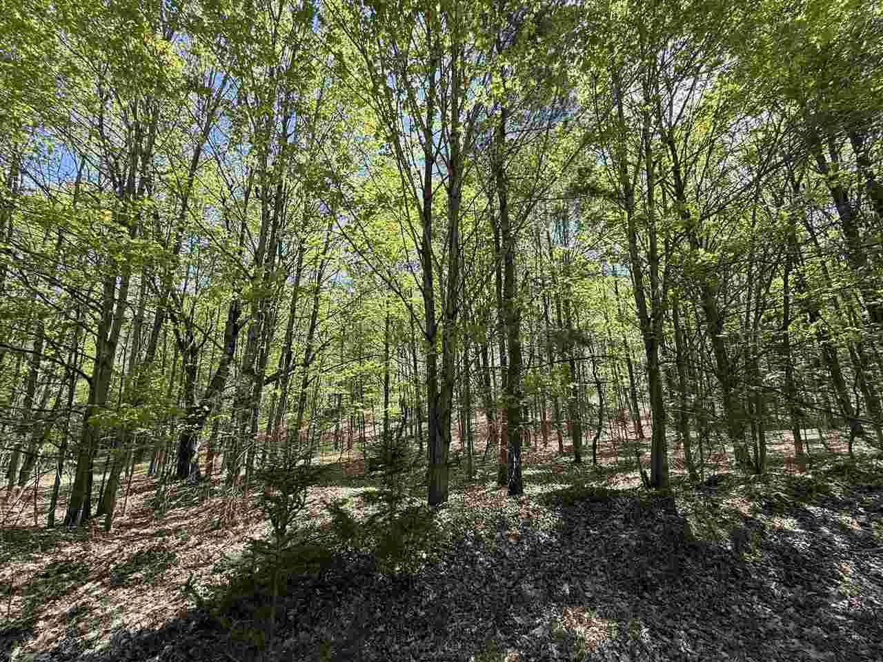 0 Coulter Creet Trail