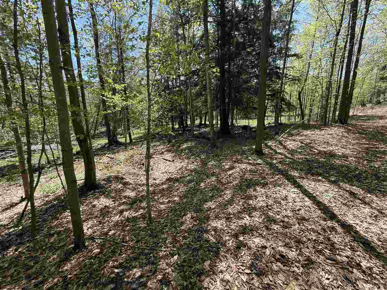 0 Coulter Creet Trail