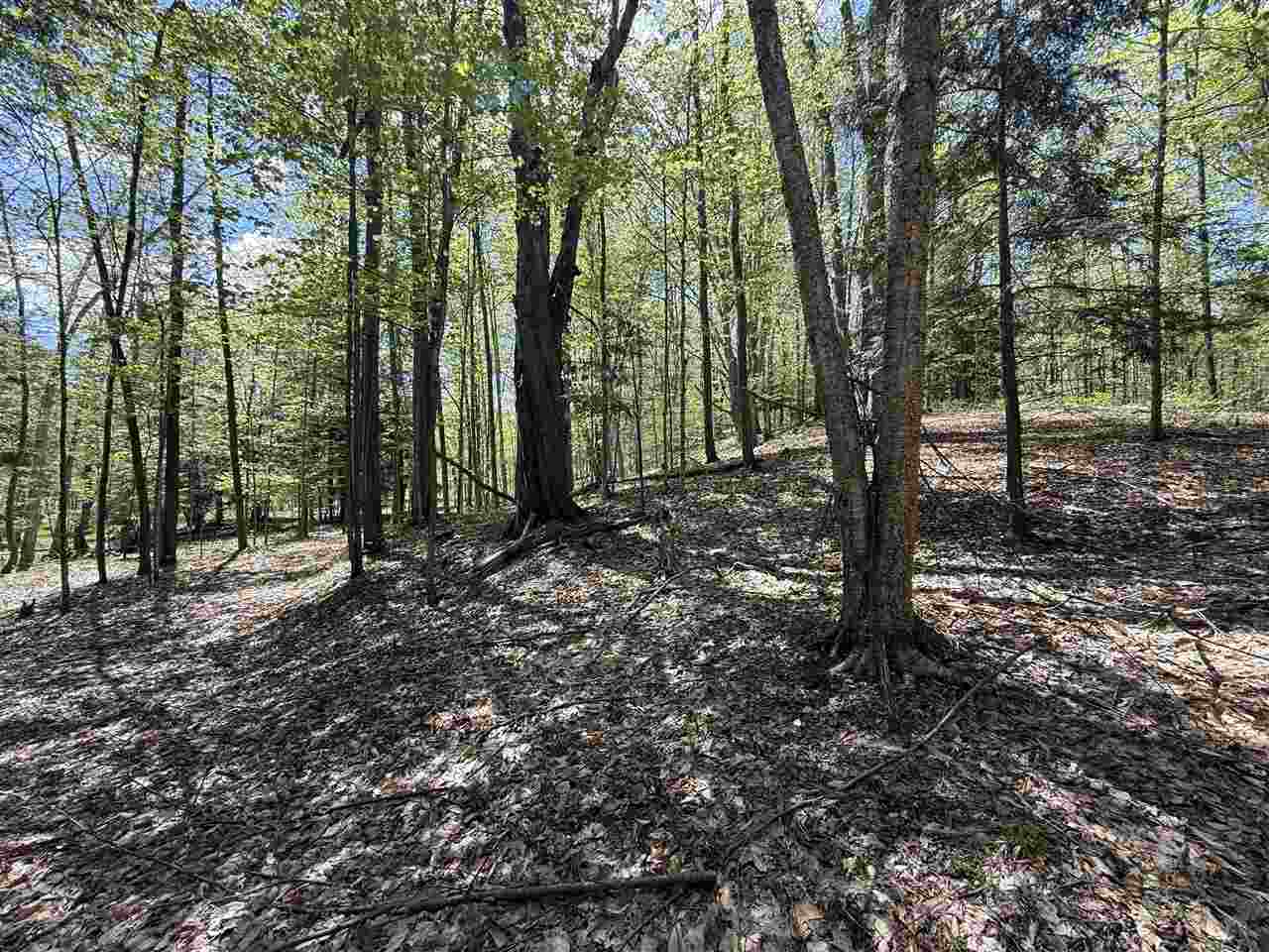 0 Coulter Creet Trail