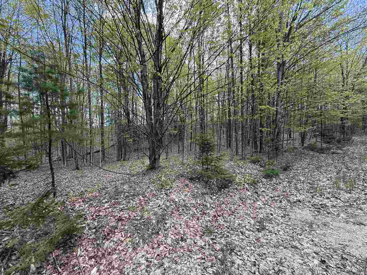 0 Coulter Creet Trail