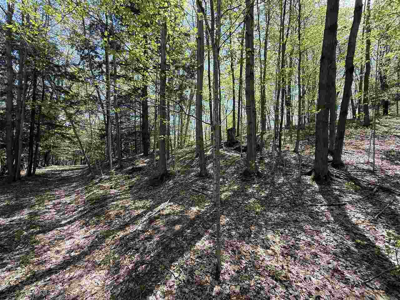 0 Coulter Creet Trail