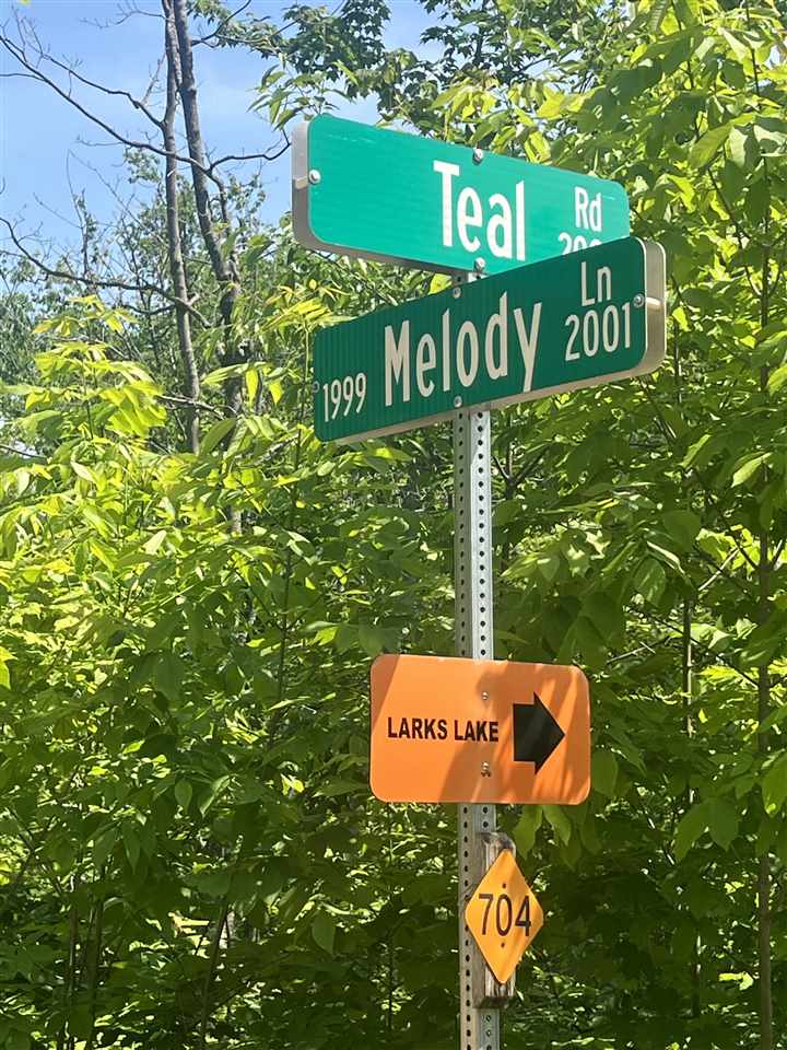 TBD TEAL Rapid