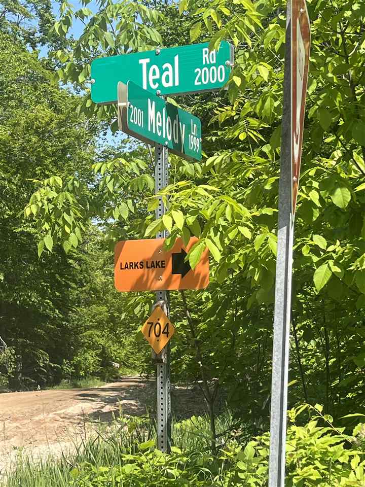 TBD TEAL Rapid