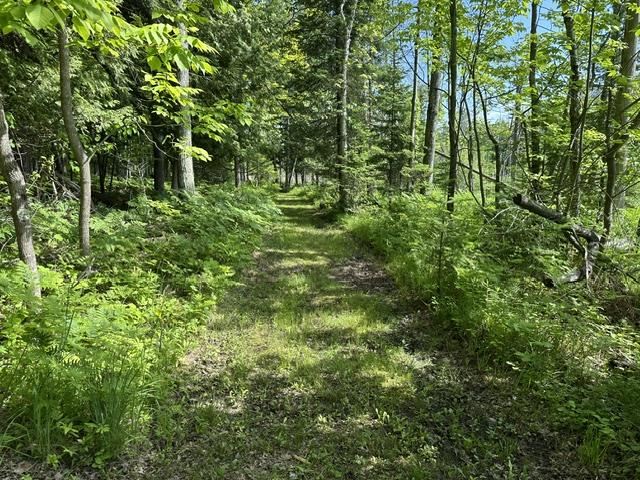 08015 Mulberry Lane
