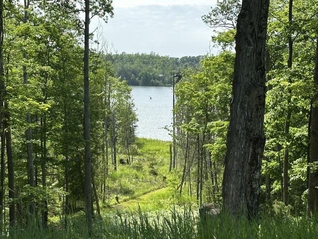 08015 Mulberry Lane
