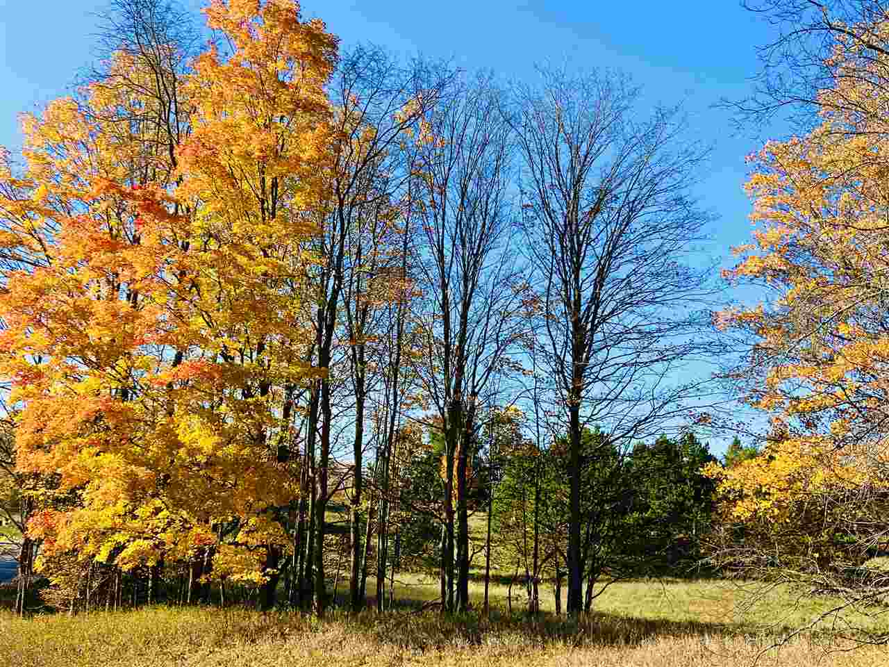Lot 3 Reserve Drive Unit: Lot # 3