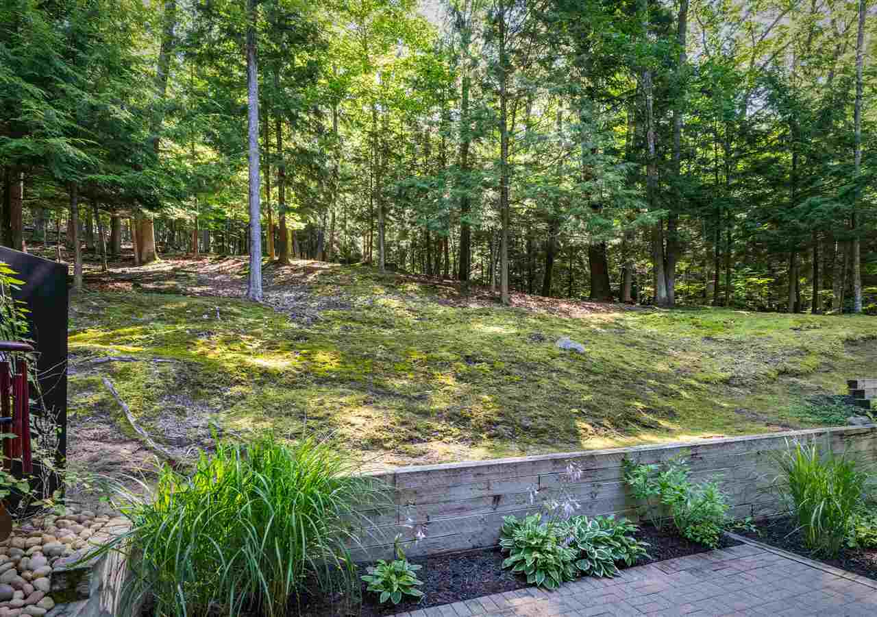 1446 Timber Pass