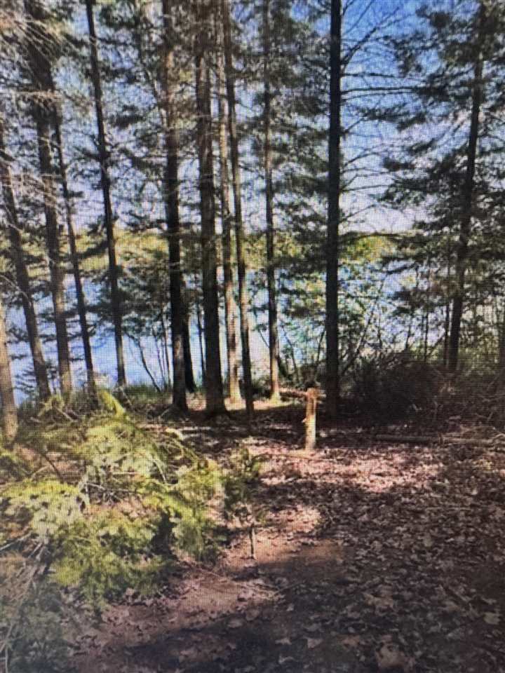 9961 Lower Chubb Lake Road