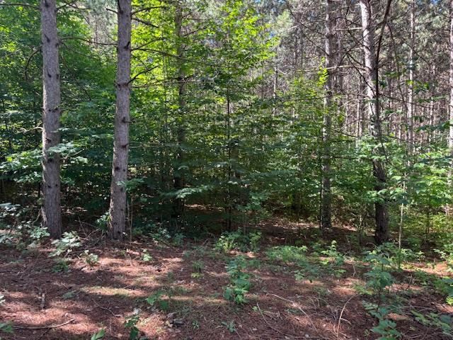 3823 Big Valley Trail
