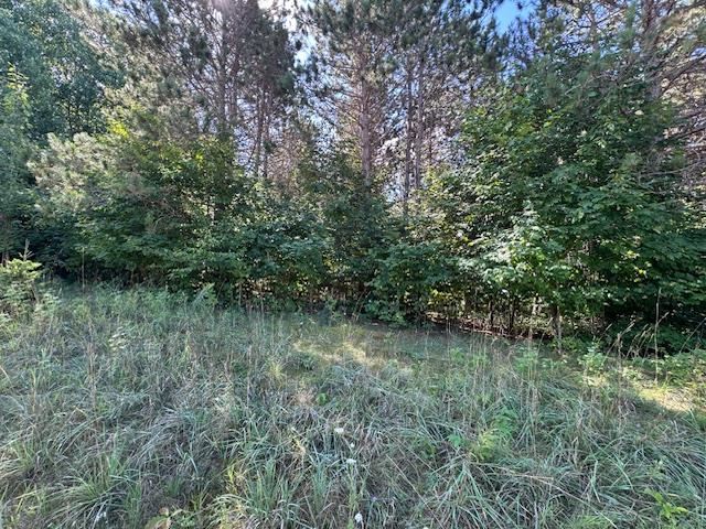 3823 Big Valley Trail