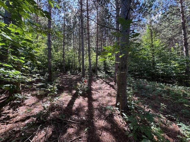 3823 Big Valley Trail