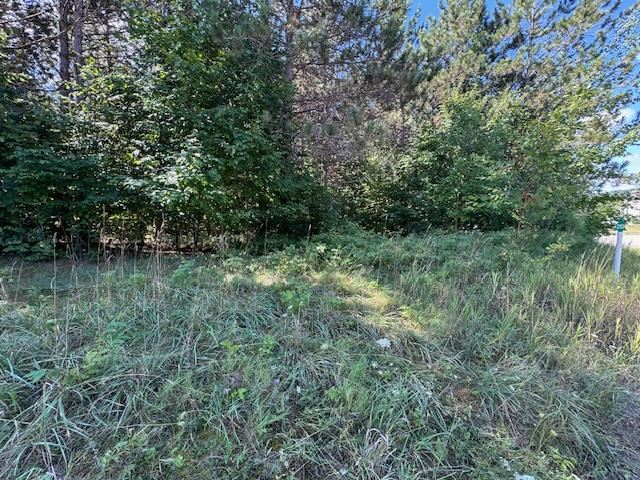 3823 Big Valley Trail