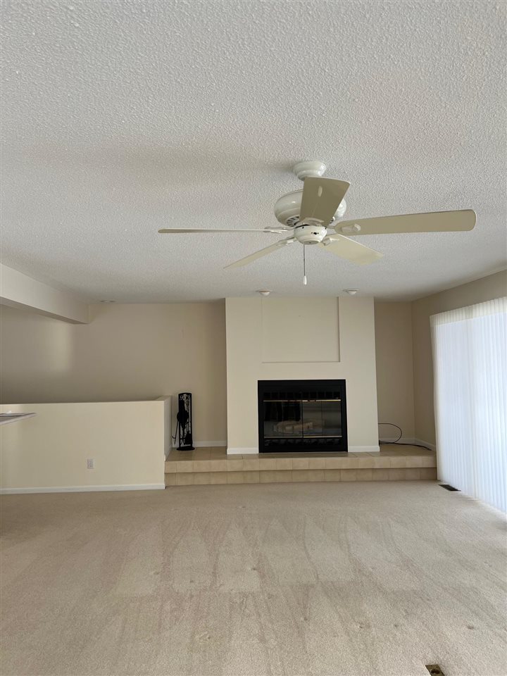 217 Belvedere Terrace Drive