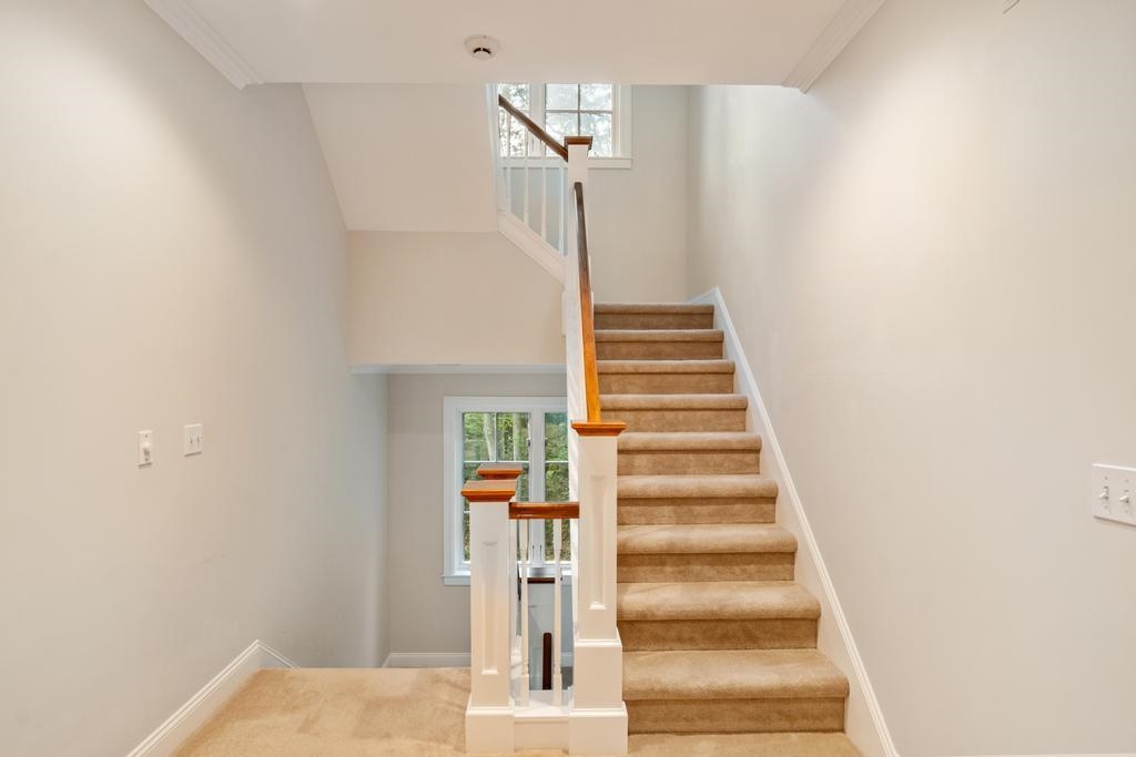 08521 Mount McSauba Road