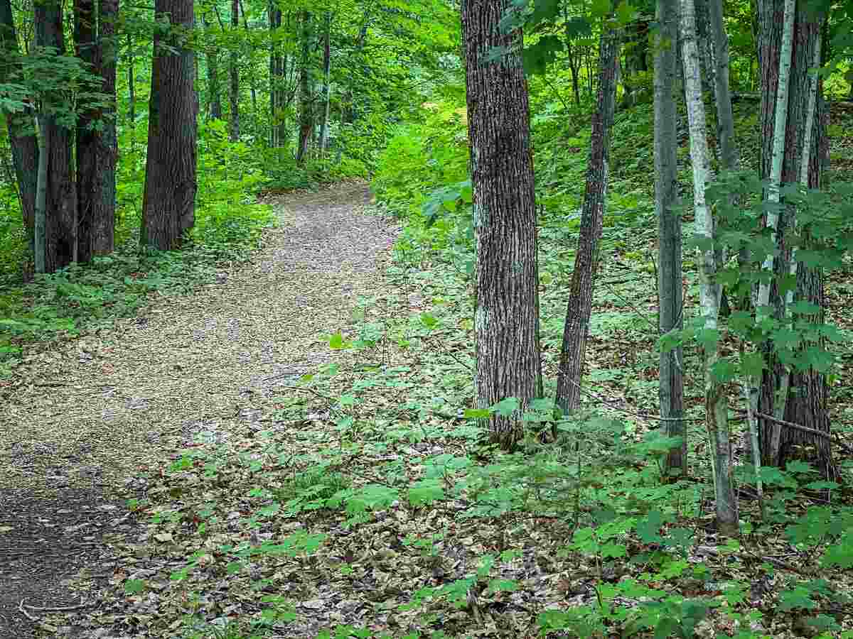 4749 S Pleasantview Road Unit: 4