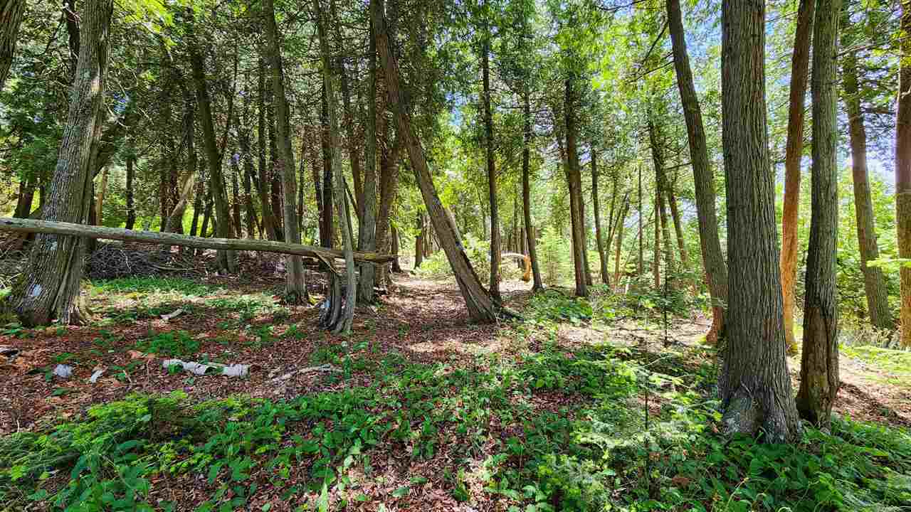 0 Cedar Point Lane Unit: 2