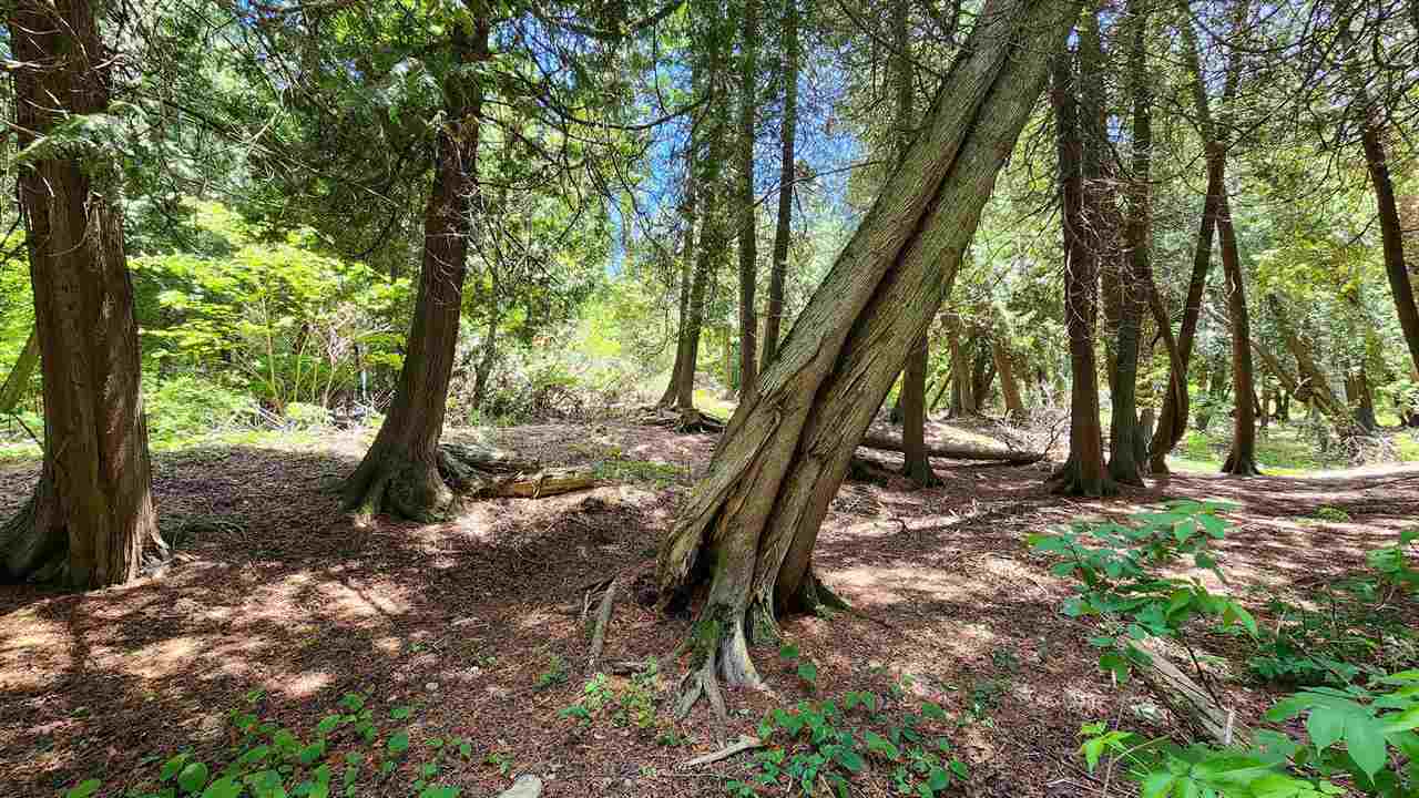 0 Cedar Point Lane Unit: 3