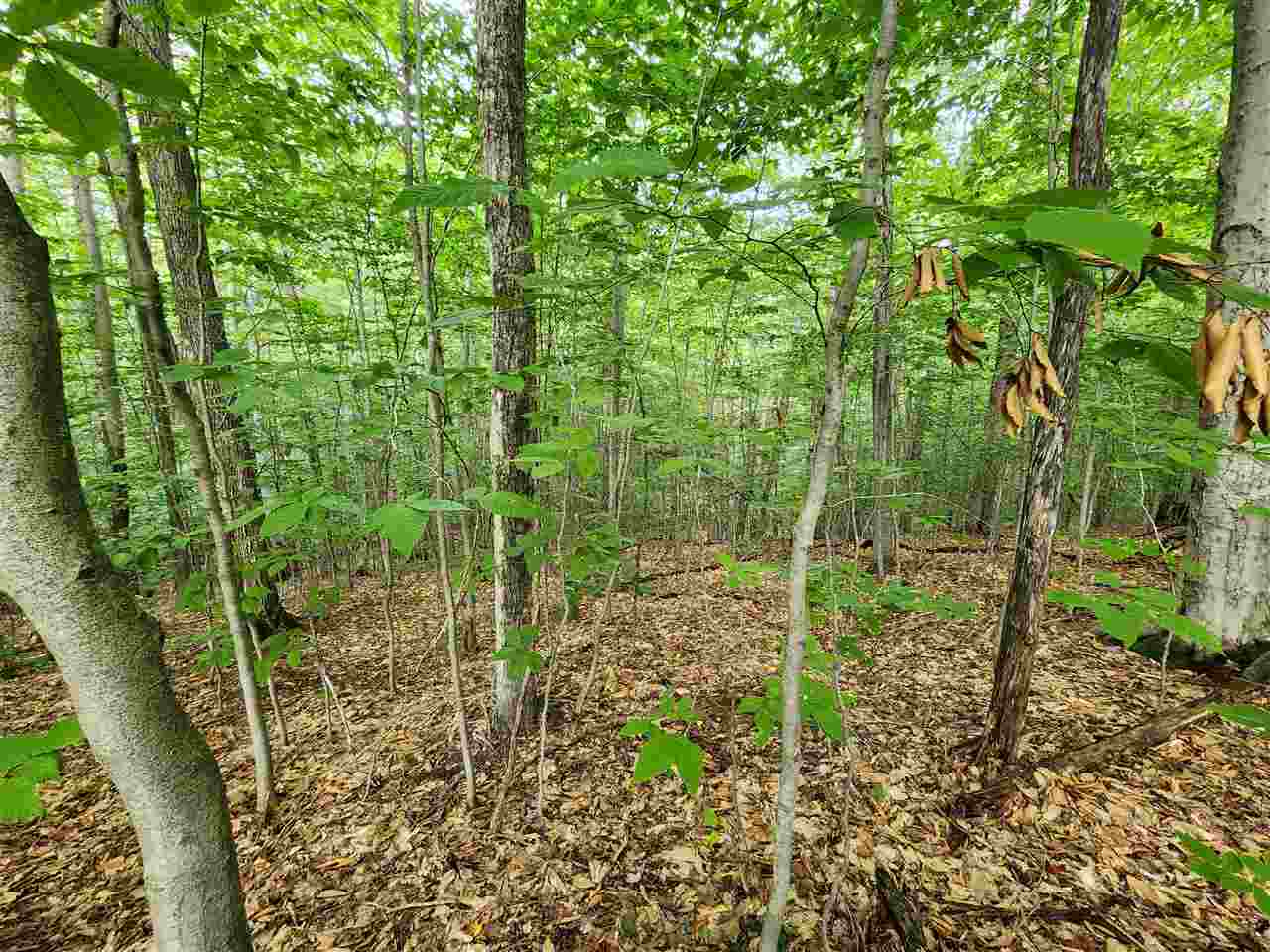 TBD Ash Court Unit: 15