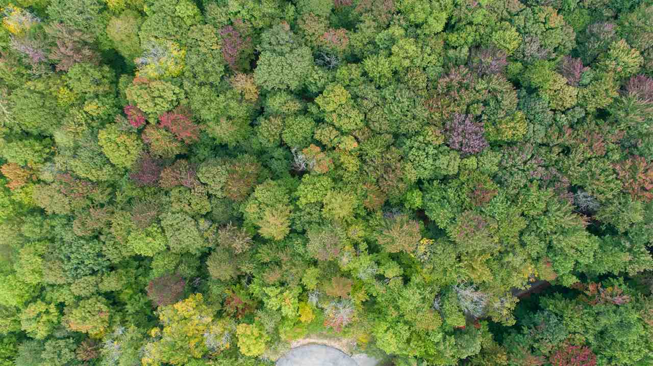 TBD Ash Court Unit: 15