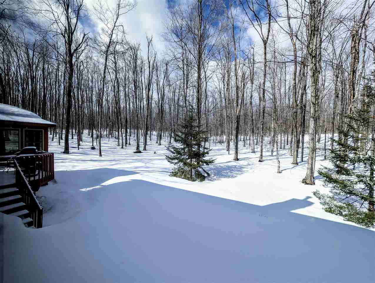 6019 Forest Ridge Lane