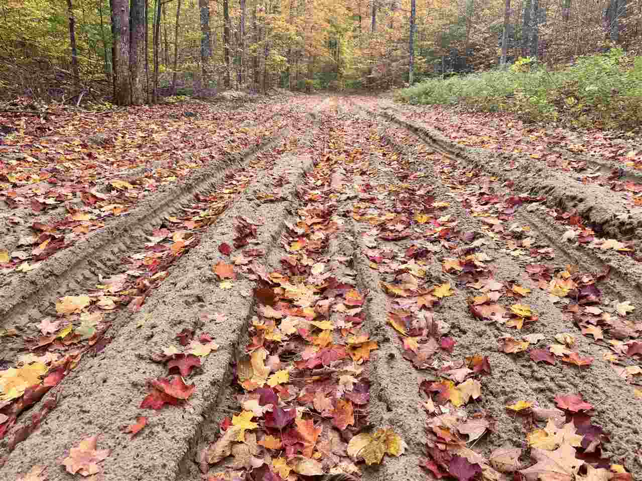 TBD Stark Road