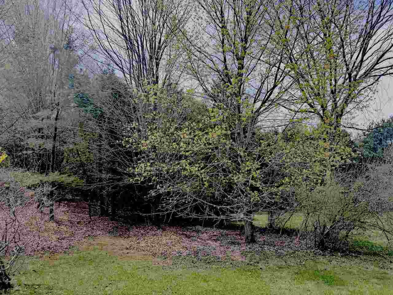 120 Lakeview Drive