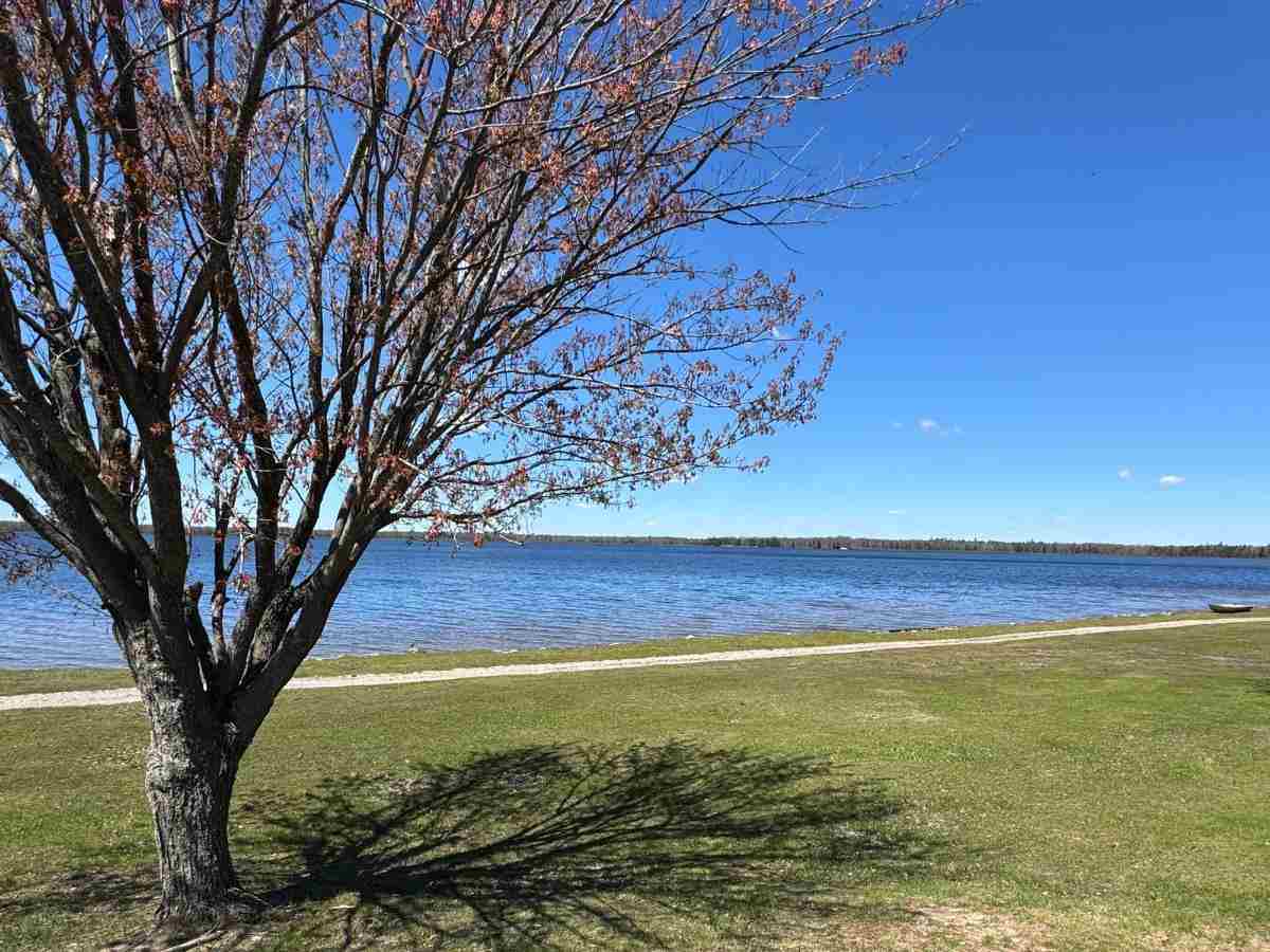 9306 A Jackson Road Unit: Lot 7