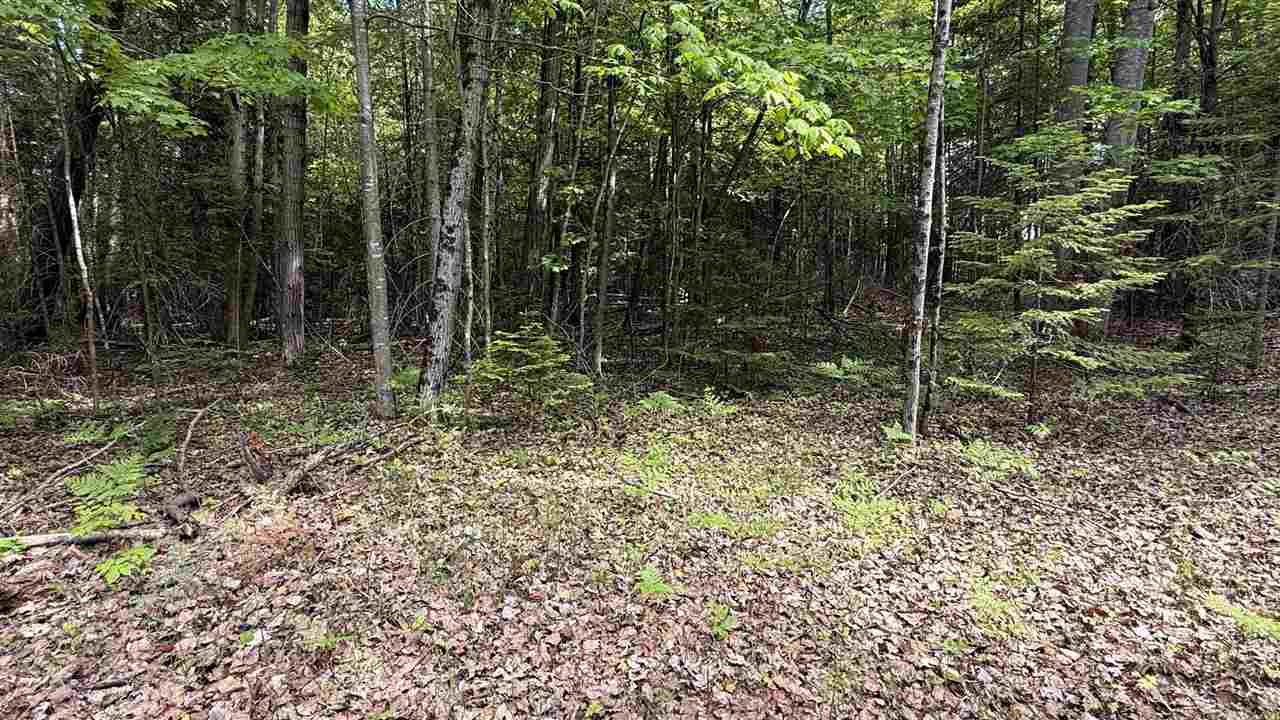 12851 Manitou Trail