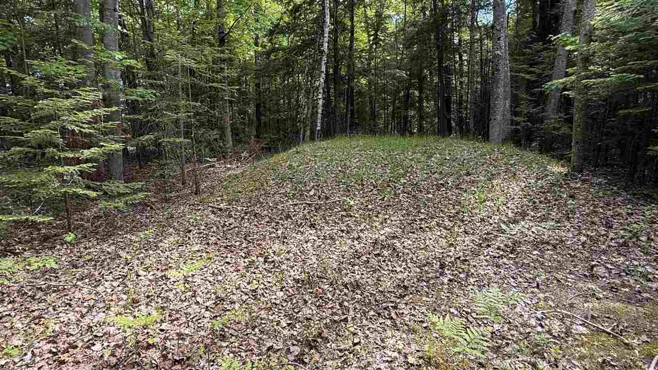 12851 Manitou Trail