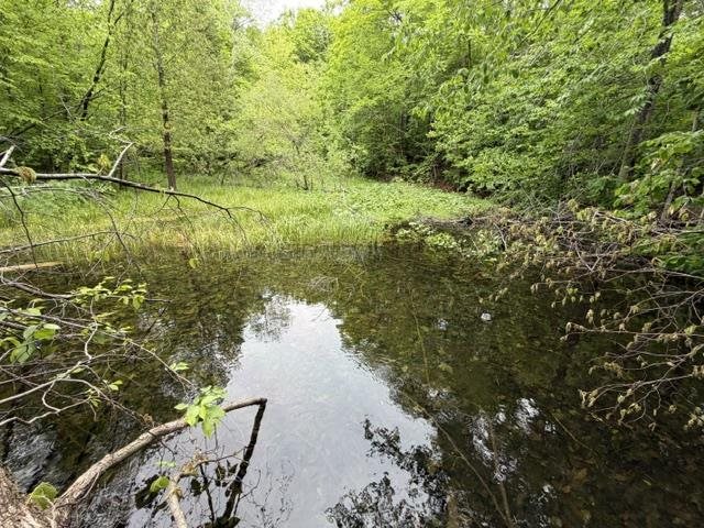 1546 Jenkins Road