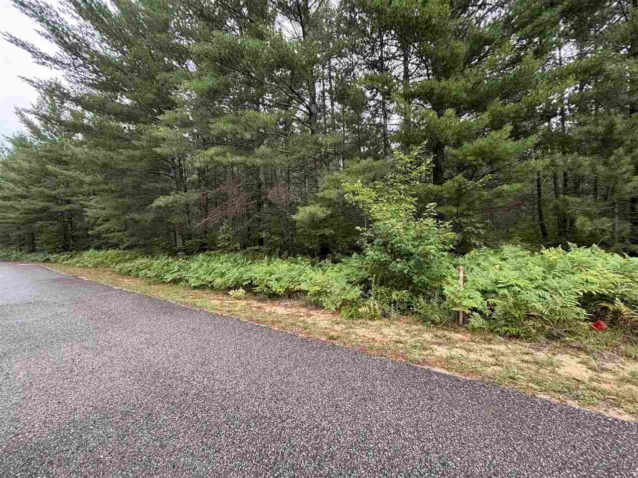 565 & 553 White Pine Drive