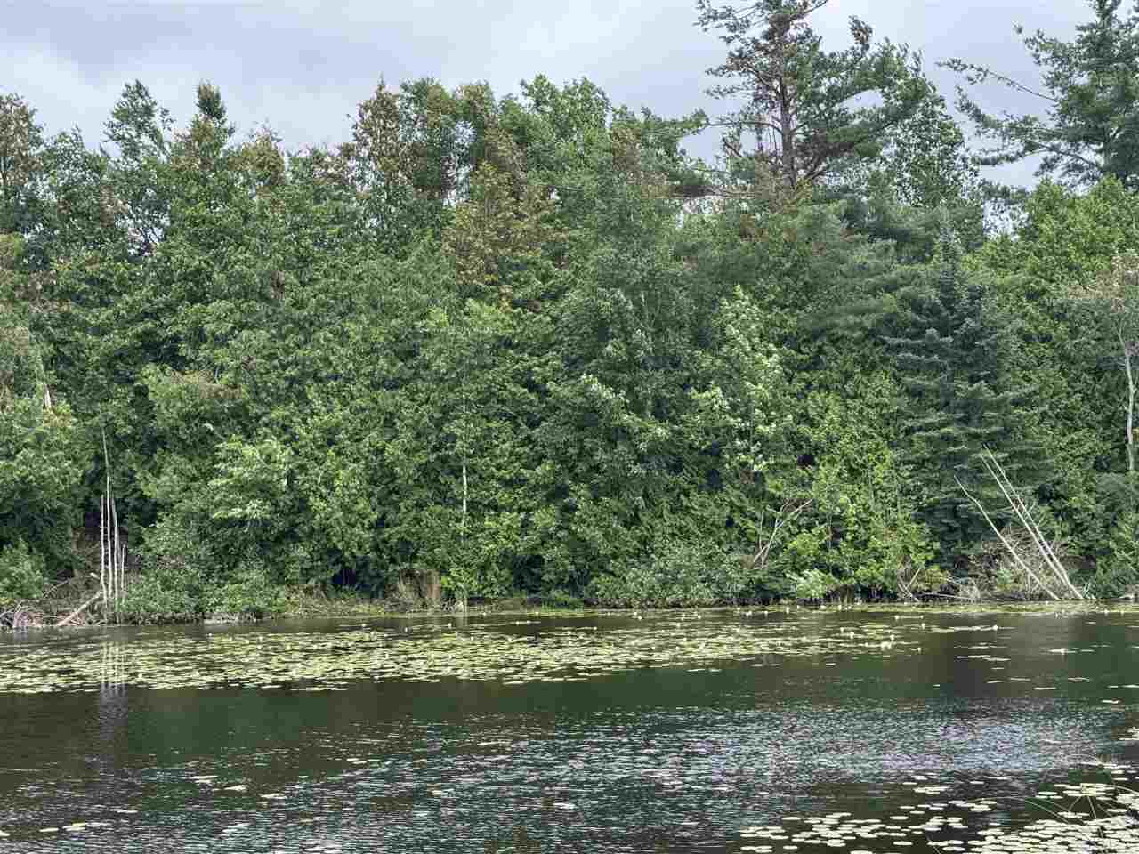 TBD Pickerel Lake Road