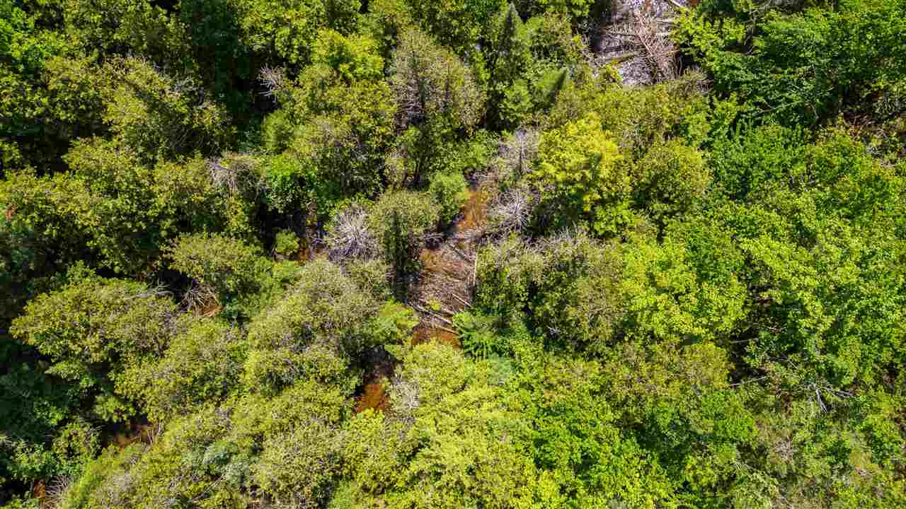 1133 W Thumb Lake Road