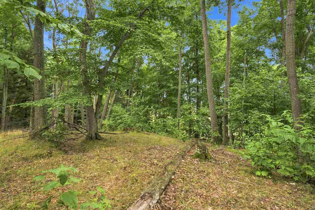 1222 Timber Pass Unit: Lot 16