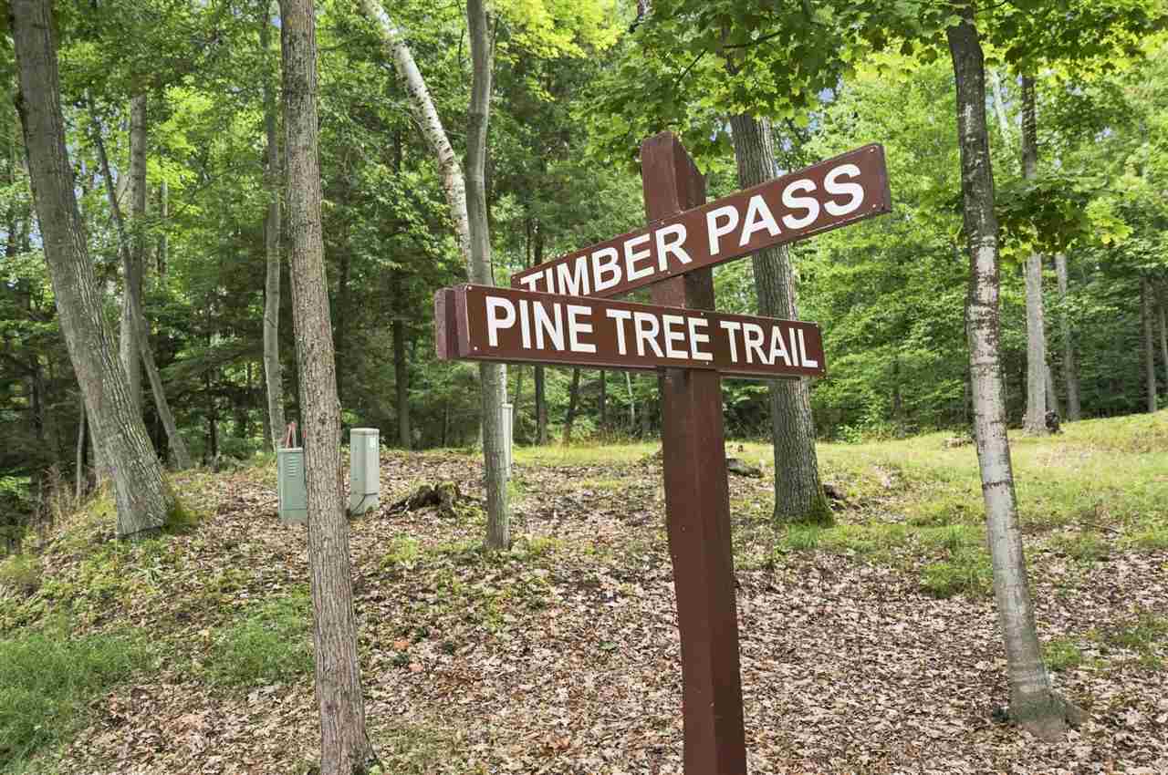 Forest trail signpost for Timber Pass and Pine Tree Trail