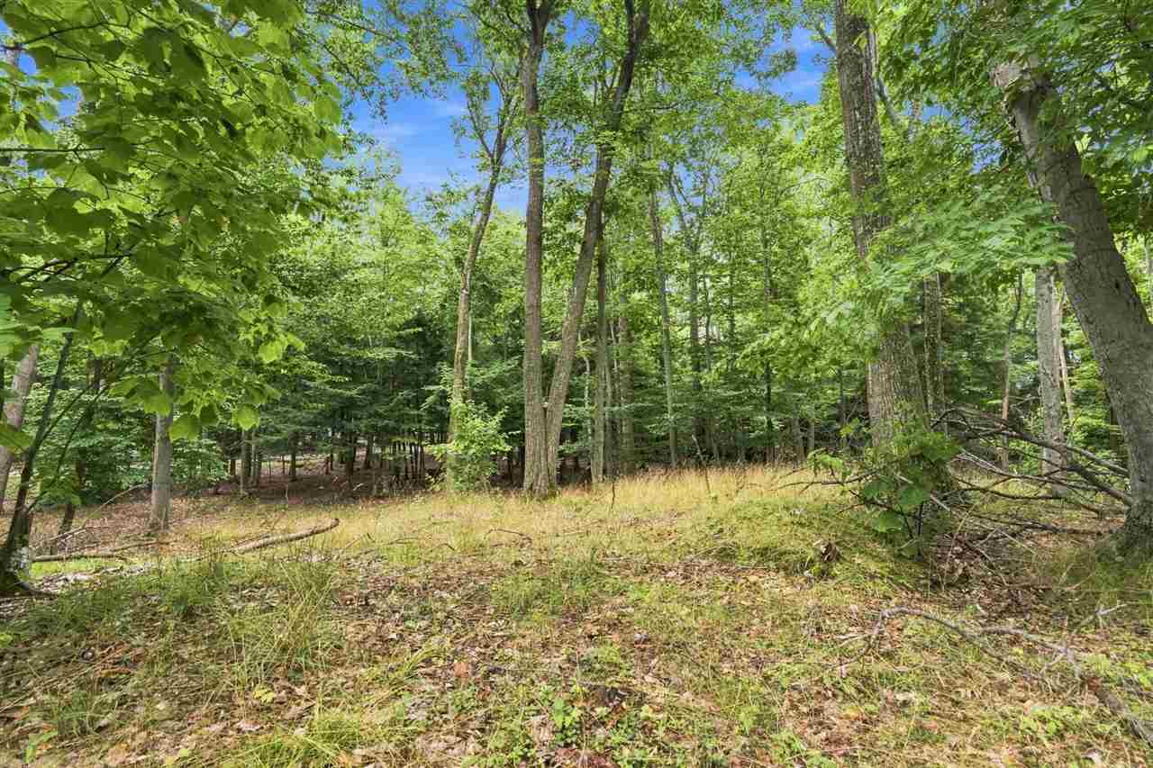 1222 Timber Pass Unit: Lot 16